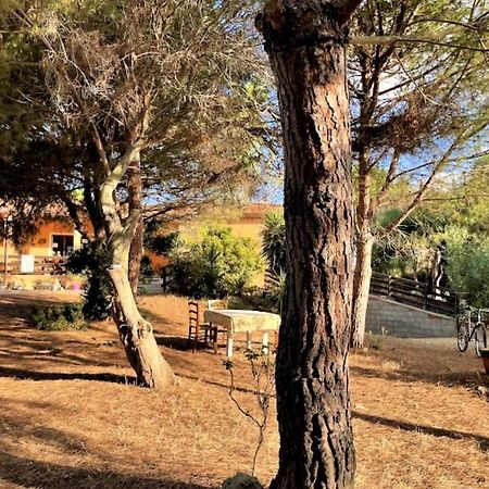 Il Lentischio del Sinis Putzu Idu Exterior foto