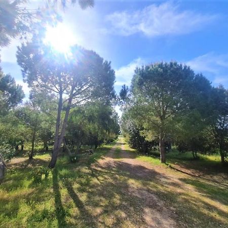 Il Lentischio del Sinis Putzu Idu Exterior foto
