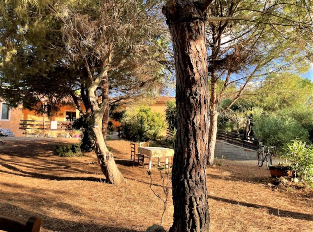 Il Lentischio del Sinis Putzu Idu Exterior foto