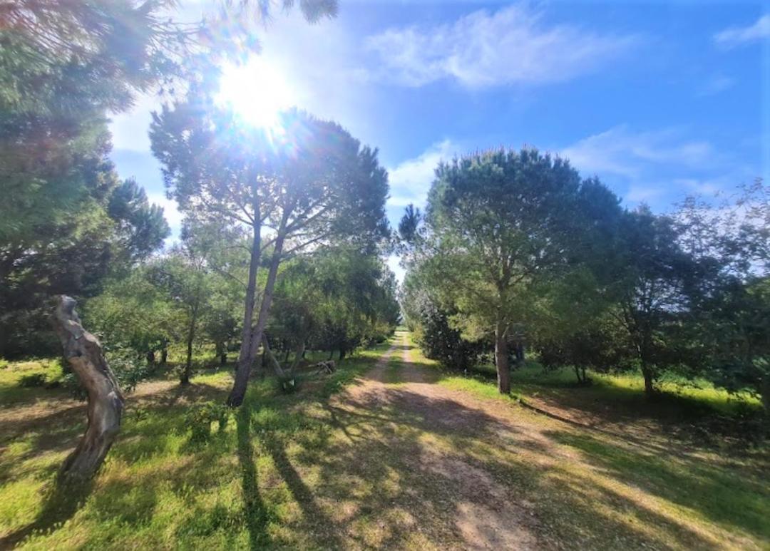 Il Lentischio del Sinis Putzu Idu Exterior foto